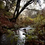 Ferienhaus Tiny House Nature 3 - Tiny Village Harz *