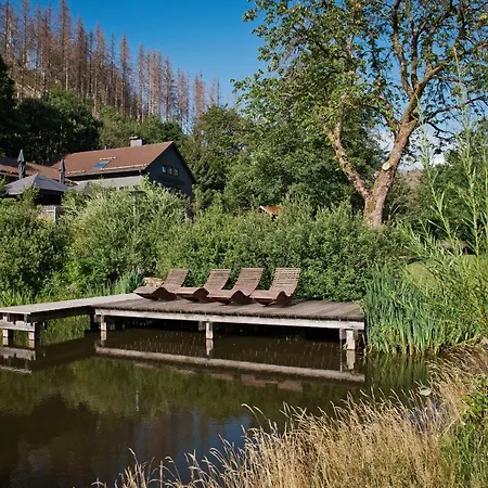Tiny House Nature 3 - Tiny Village Harz *