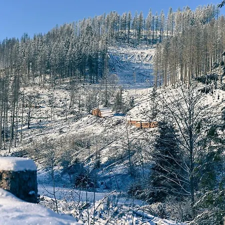 Semesterbostad Tiny House Nature 3 - Tiny Village Harz *