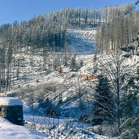 Semesterbostad Tiny House Nature 3 - Tiny Village Harz