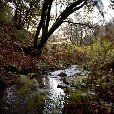 Semesterbostad Tiny House Nature 3 - Tiny Village Harz *