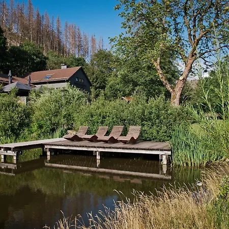 Tiny House Nature 3 - Tiny Village Harz